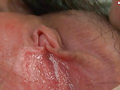 Chlupatý sólové asijské uzavírání smluv a mokré